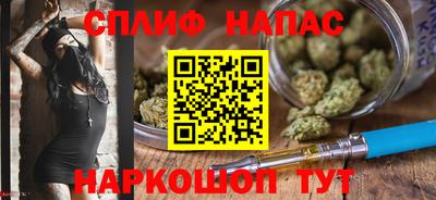 не бодяженный Моздок